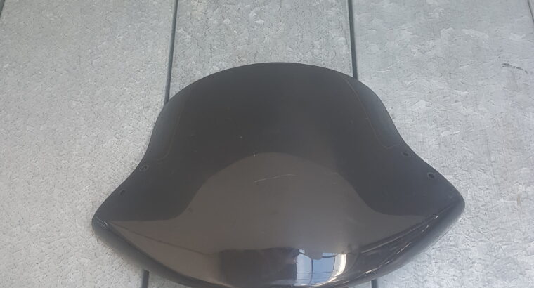 PLEXIGLAS APRILIA LEONARDO 150