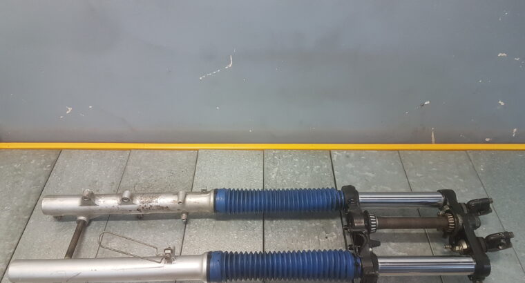 Forcella Completa Di Piastre Suzuki DR 650 RSE 993