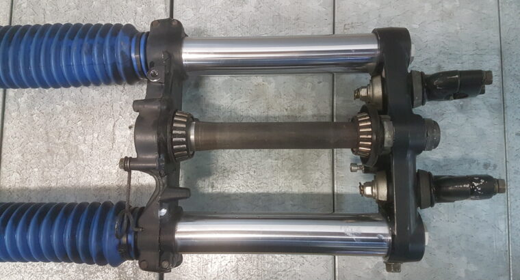 Forcella Completa Di Piastre Suzuki DR 650 RSE 993